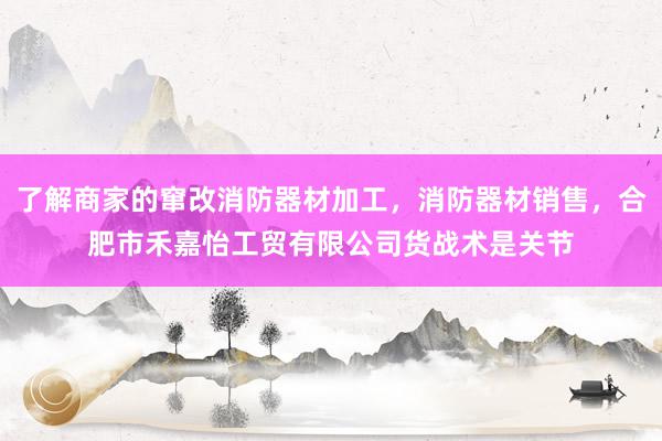 了解商家的窜改消防器材加工，消防器材销售，合肥市禾嘉怡工贸有限公司货战术是关节