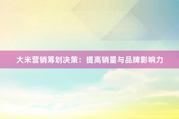 大米营销筹划决策：提高销量与品牌影响力